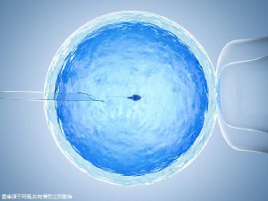 供卵代生公司